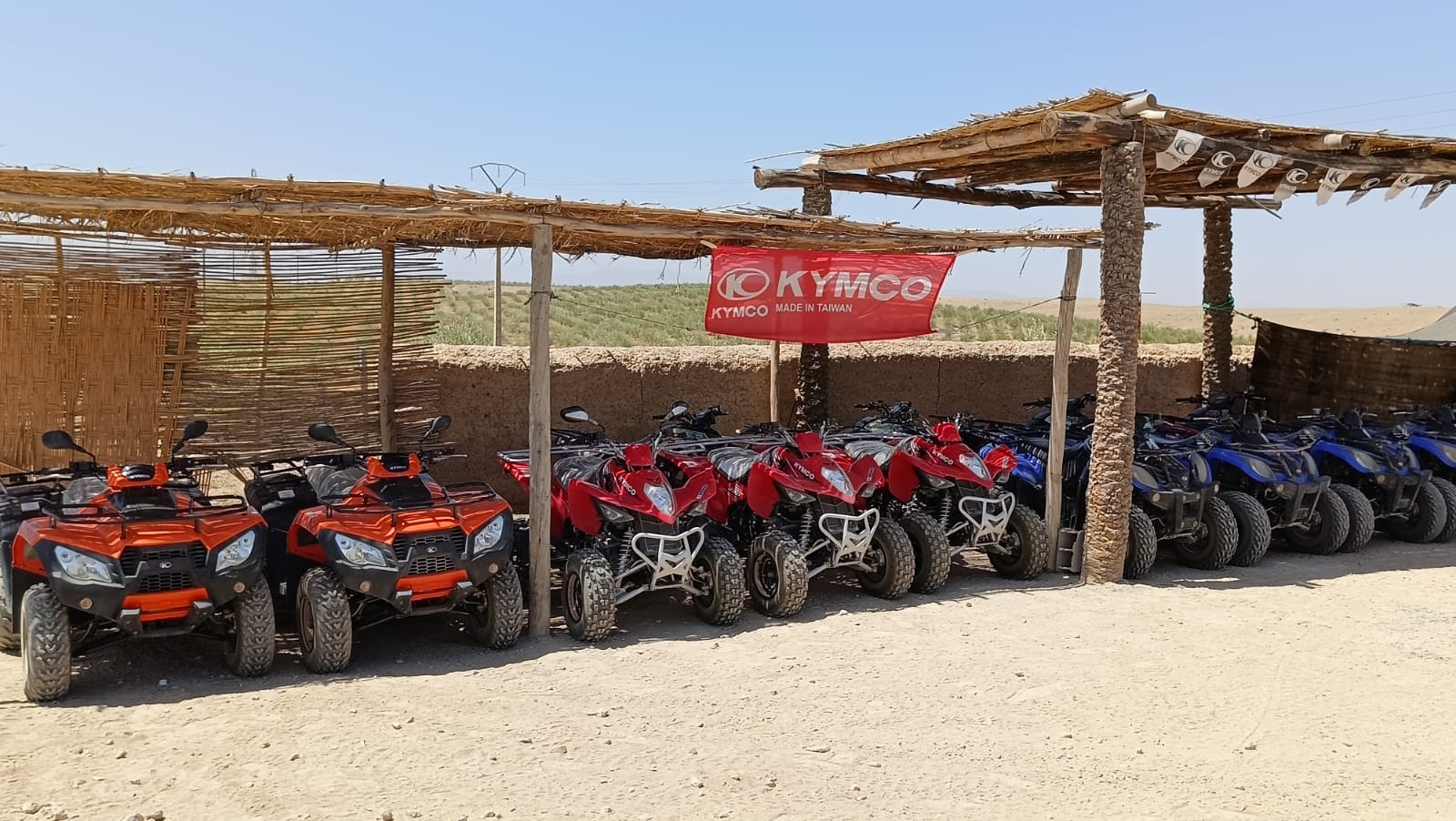 whatsapp image 2025 11 24 at 20.49.37 (2)